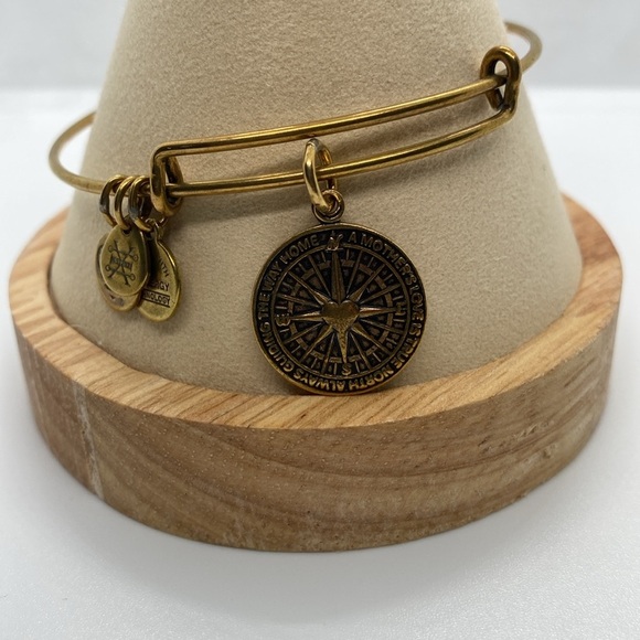 Alex and Ani True Direction Charm Bangle Bracelet/Rafaelian Gold/Good Condition - Picture 1 of 6